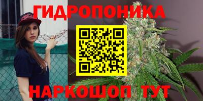 гидропоника Балаково