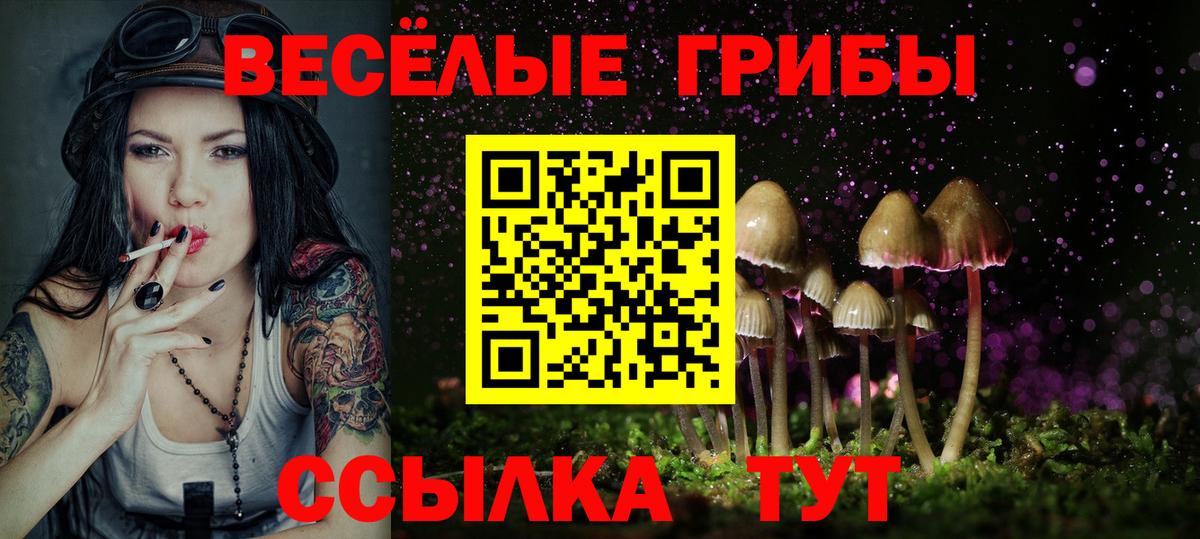 Галлюциногенные грибы прущие грибы Бугуруслан