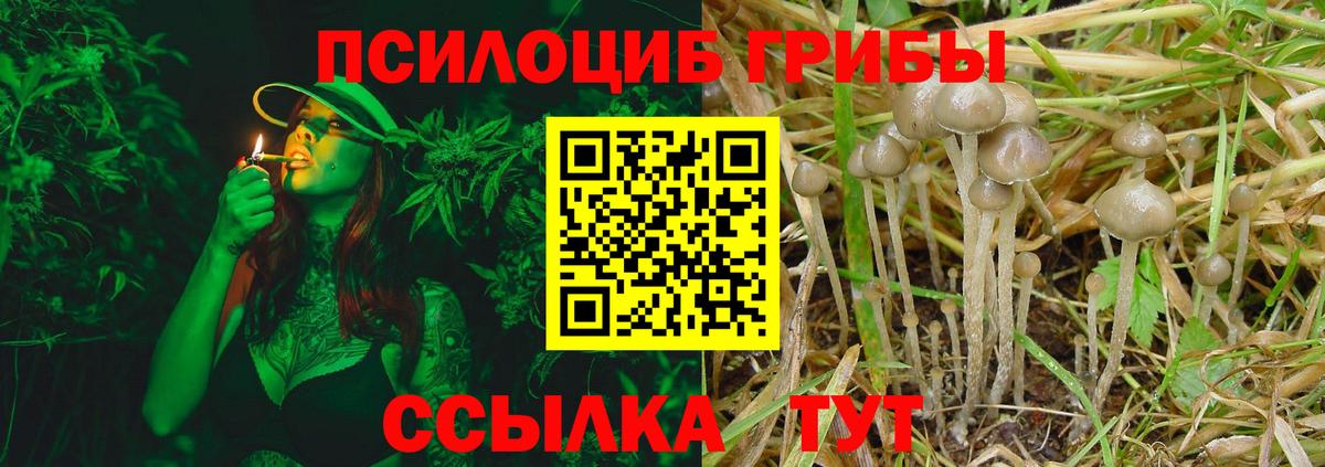даркнет сайт  Вход с VPN  Бугуруслан  Галлюциногенные грибы GOLDEN TEACHER 